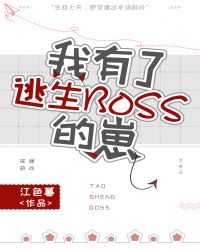 ����������BOSS����