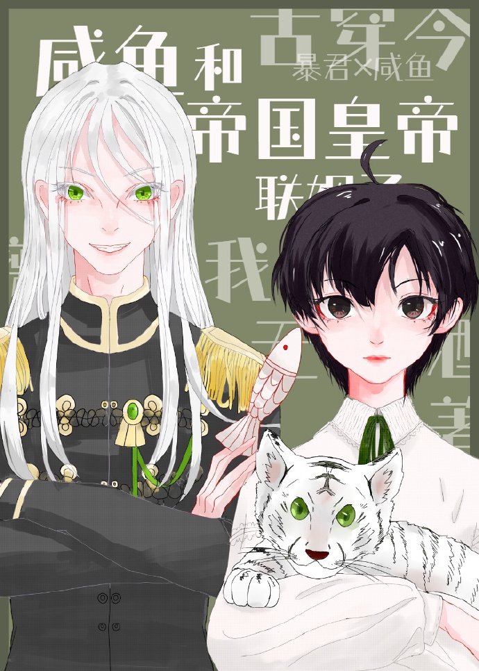 ����͵۹��ʵ�������