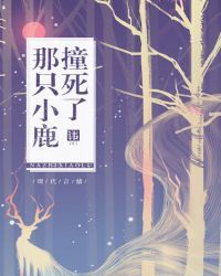 ��ֻС¹ײ����