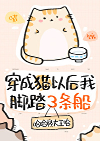 ����è�Ժ��ҳ���ʱ�������ʦ