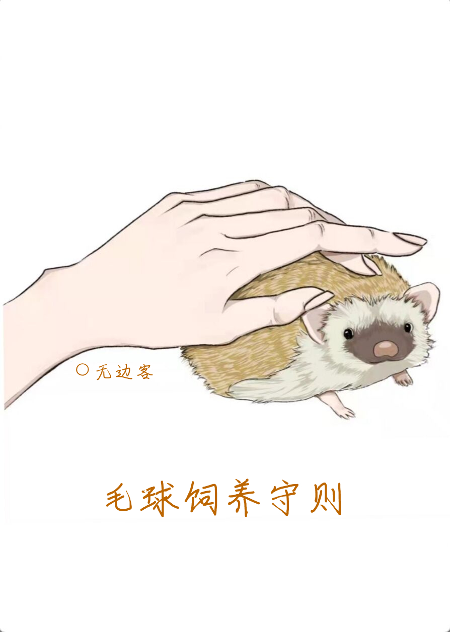 ë����������