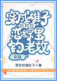 �������Ӻ�������������Ϲ�[����]