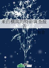 [��]���Ժ�����������鱨��