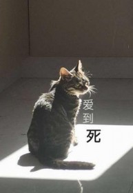 ������