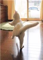 (����)ÿ�ο촩���۶��ڱ�pp