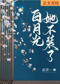 ���¹�����װ��[˫����]